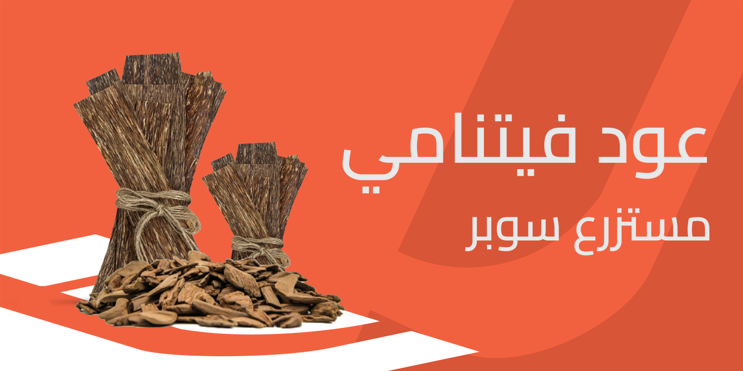 عود فيتنامي مستزرع سوبرعبق يلامس الحواس